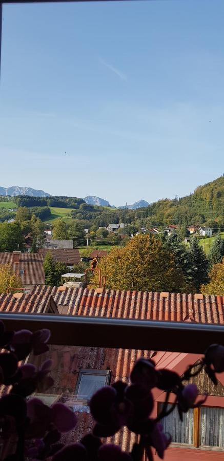 Auszeit Am Traunsee Altmünster Zewnętrze zdjęcie